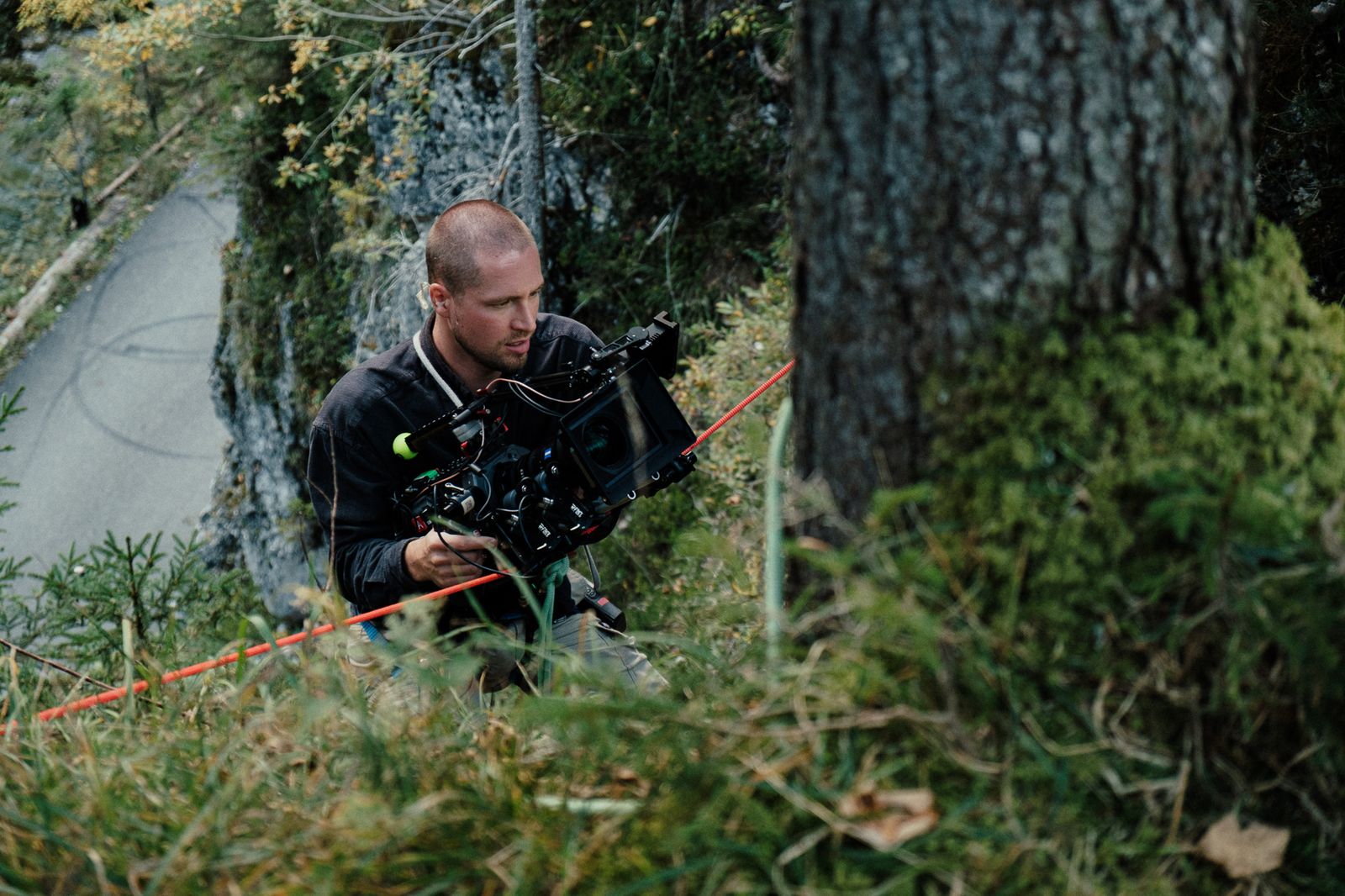 camera on a steep forest slope, secured by rope